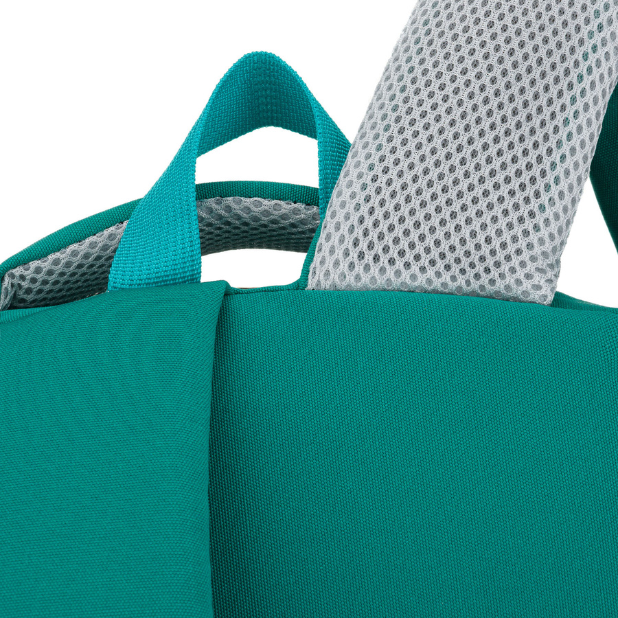 Zielony, młodzieżowy plecak szkolny z poliestru zawieszony na regulowanych szelkach - Peterson