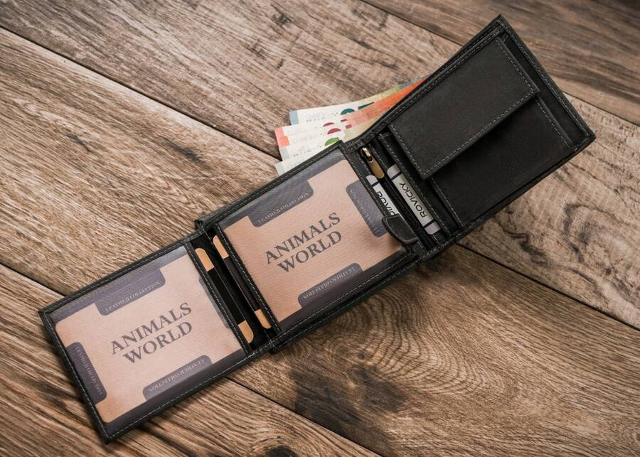 Duży portfel męski z nubukowej skóry naturalnej - Always Wild