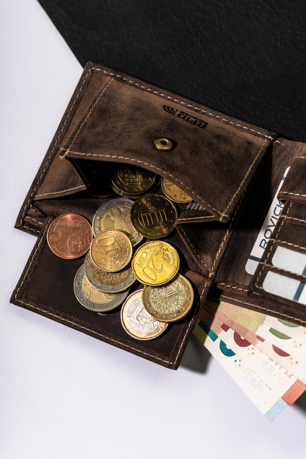 Portfel męski RFID bez zapięcia - Buffalo Wild