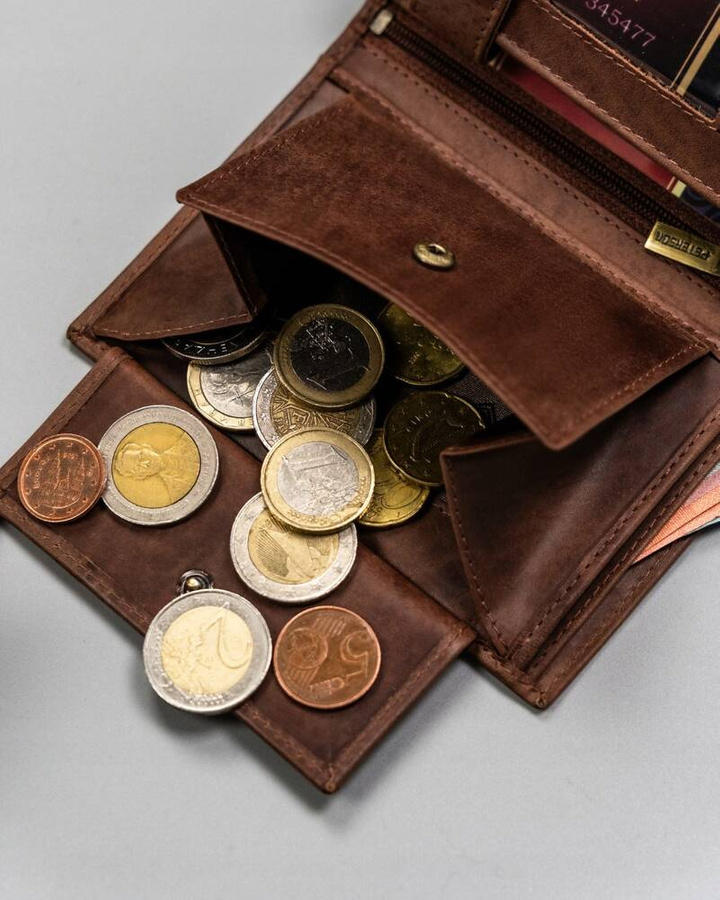 Duży, pionowy portfel męski ze skóry naturalnej - Peterson