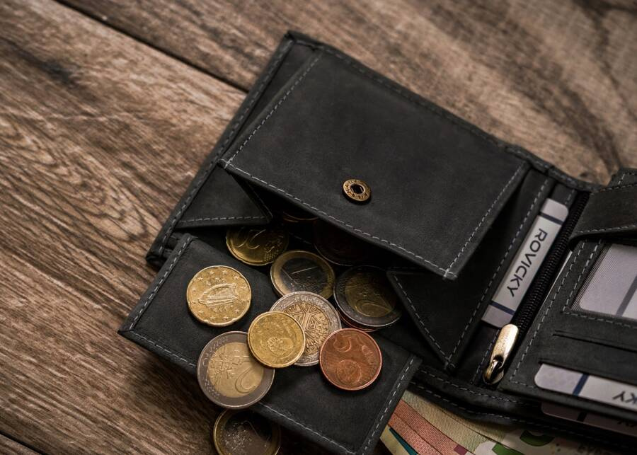 Duży portfel męski z nubukowej skóry naturalnej - Always Wild