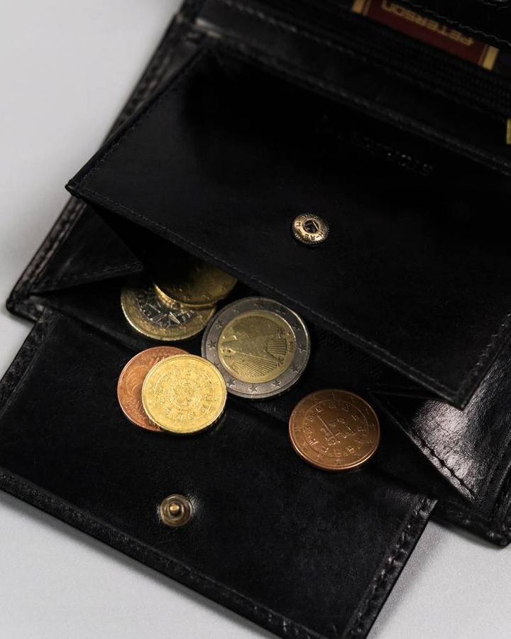 Duży portfel męski bez zapięcia - Peterson