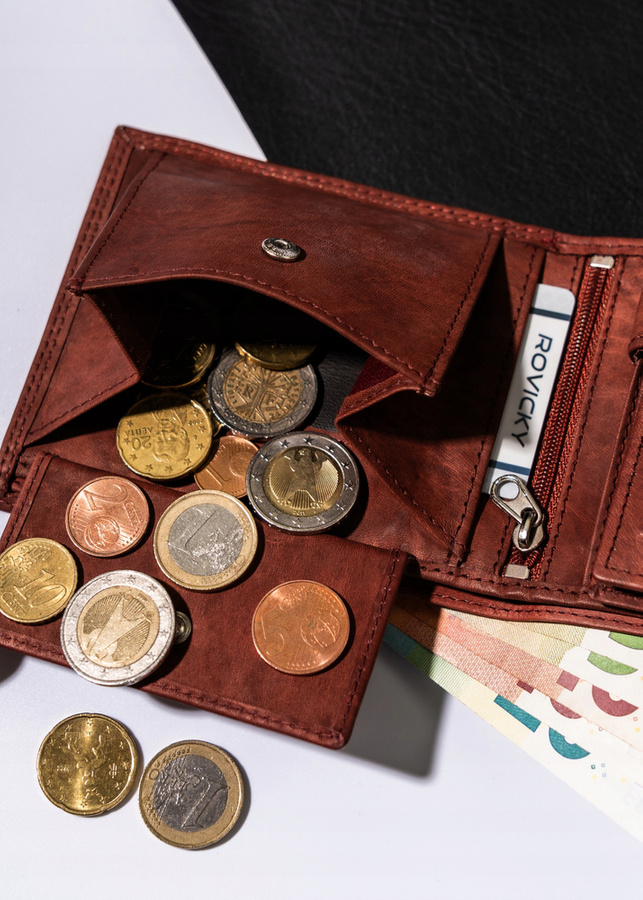 Duży, skórzany portfel męski w orientacji poziomej - Always Wild