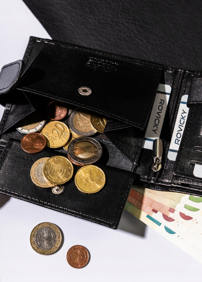 Klasyczny, poziomy portfel męski ze skóry naturalnej - Always Wild