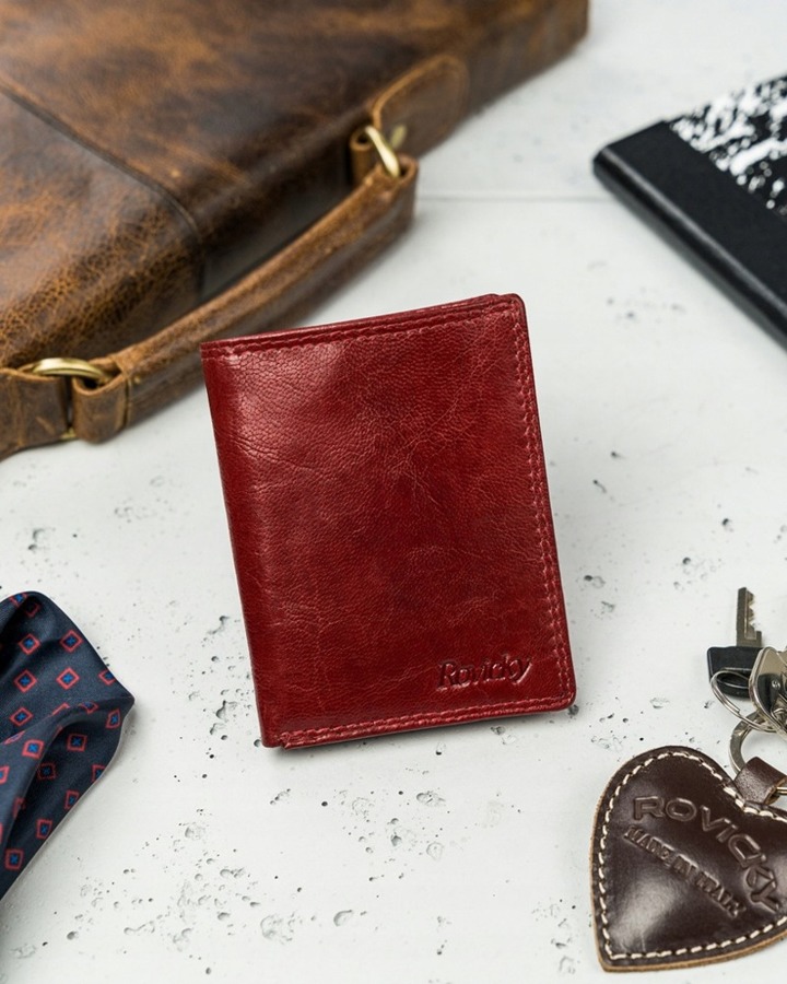 Porządny skórzany portfel-etui na karty i dokumenty — Rovicky