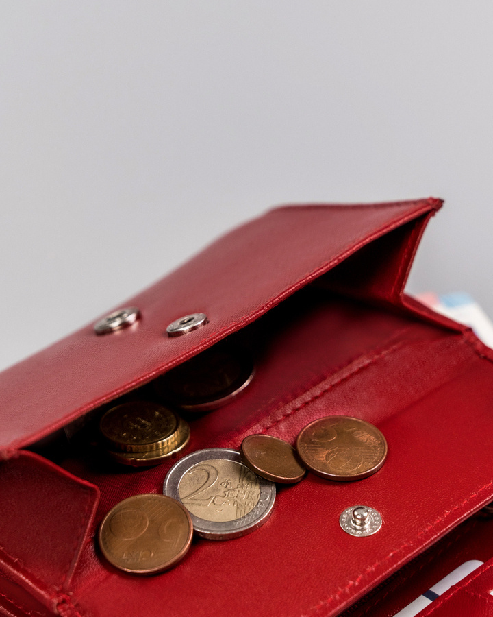 Skórzany kompaktowy portfel damski - Rovicky